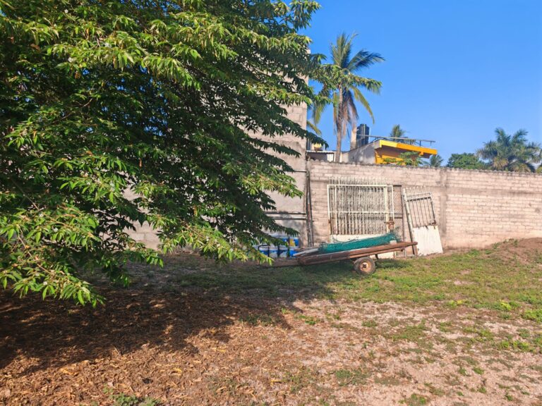 CASA SUSY – photo 15
