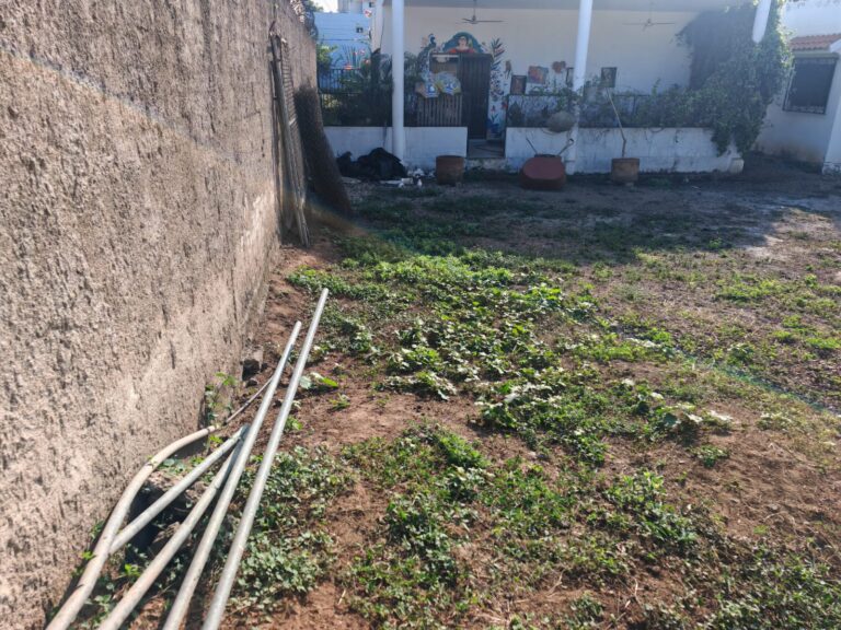 LOT ARCADIS – photo 6
