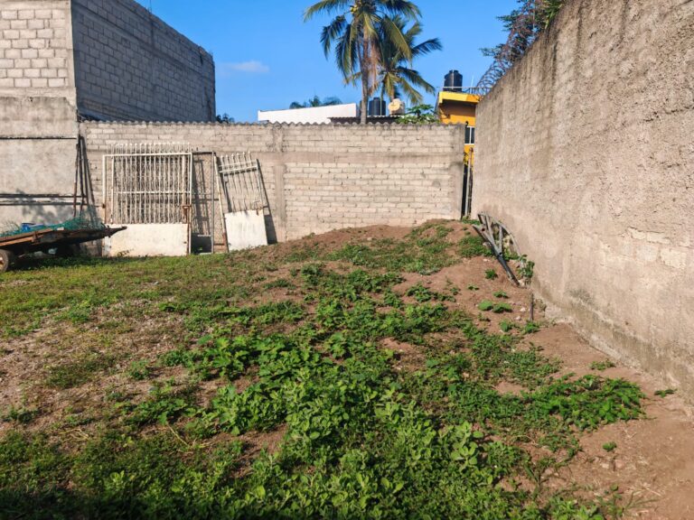 LOT ARCADIS – photo 5