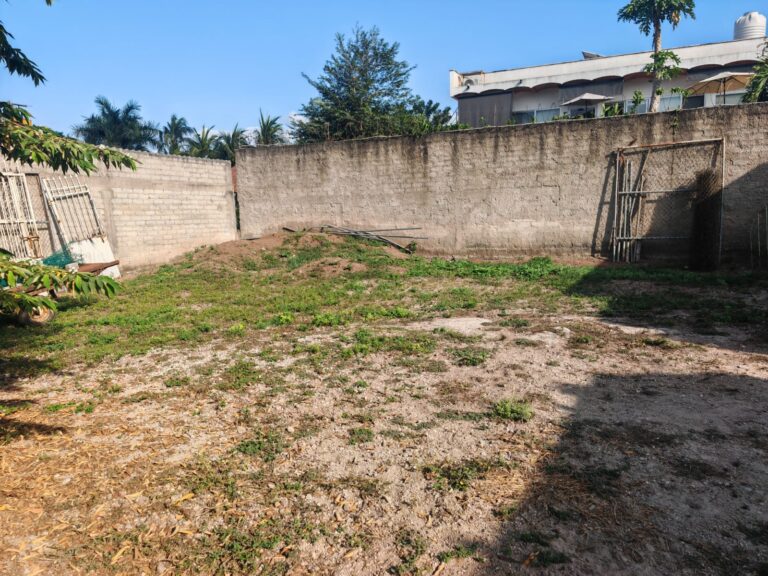 LOT ARCADIS – photo 3