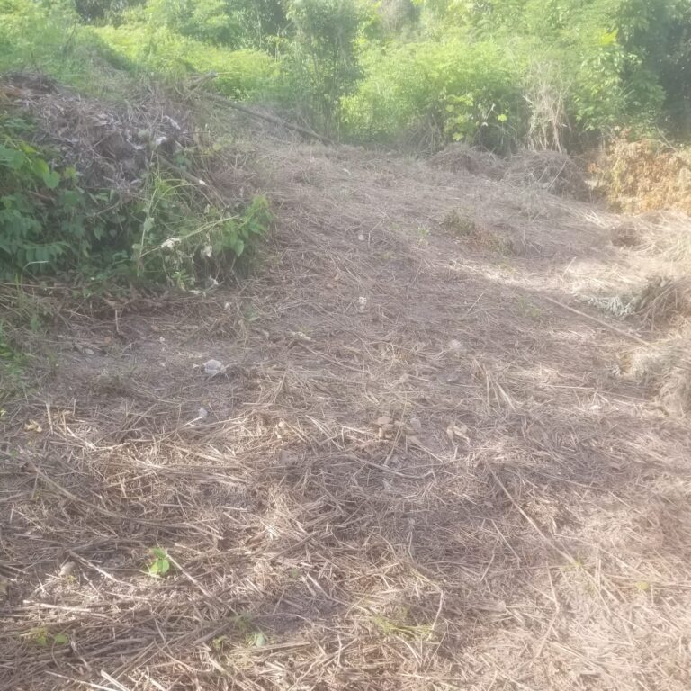 LOTE VISTA ATICAMA – photo 3