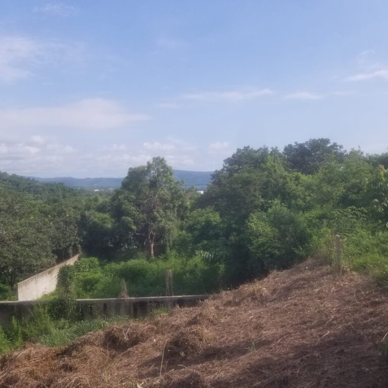 LOTE VISTA ATICAMA – photo 5