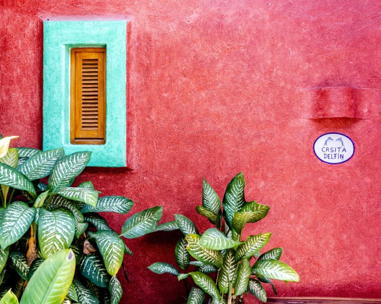 CASITA DELFIN – photo 17