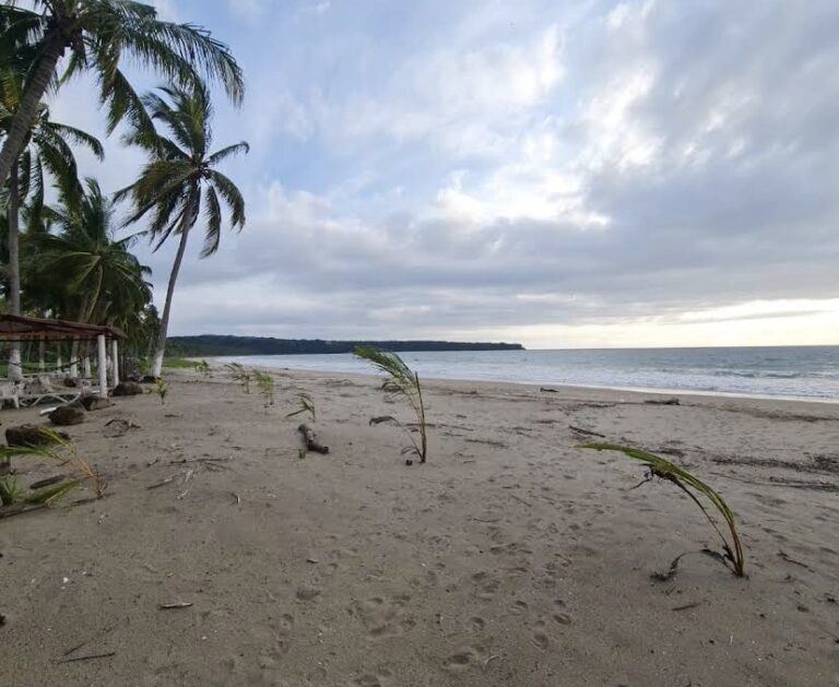 LOTE PLAYA LIMONCITO – photo 3