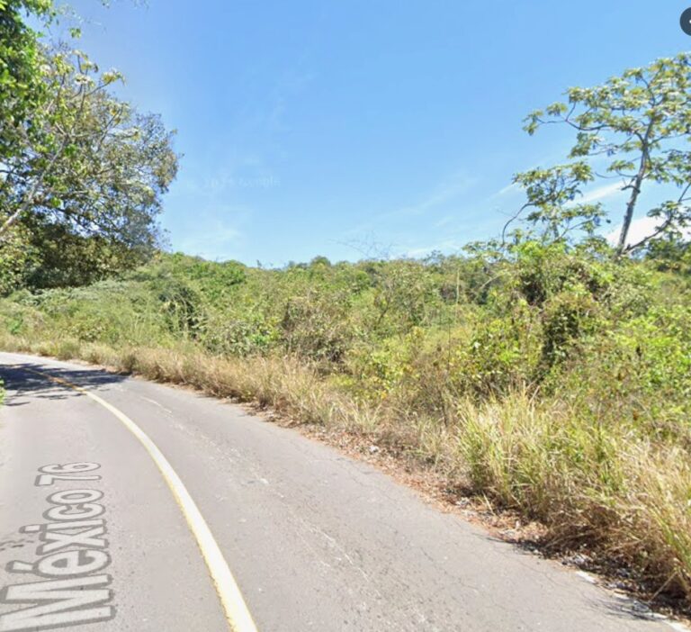 PARCELA TICUITATA – photo 3