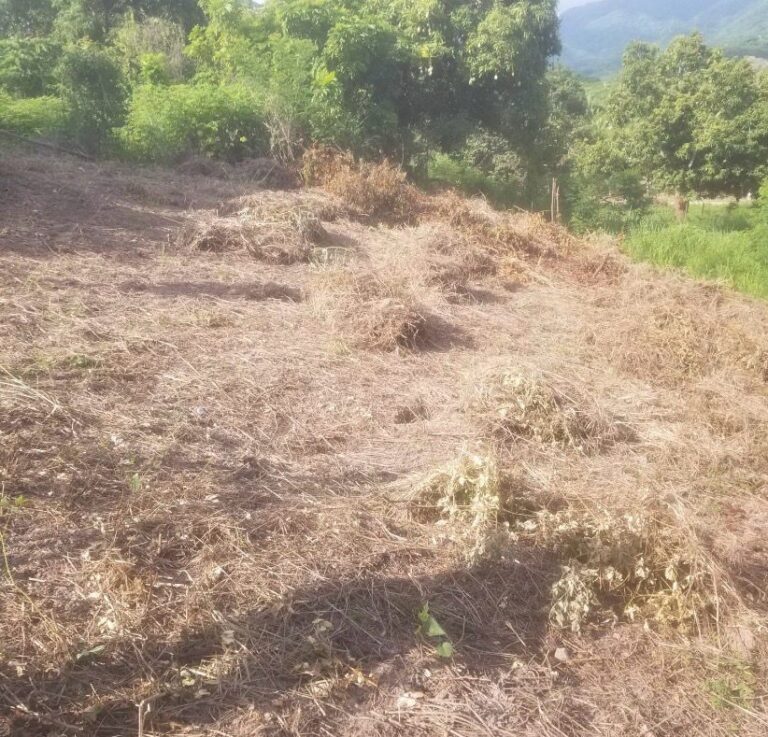 PARCELA VISTA ATICAMA – photo 2