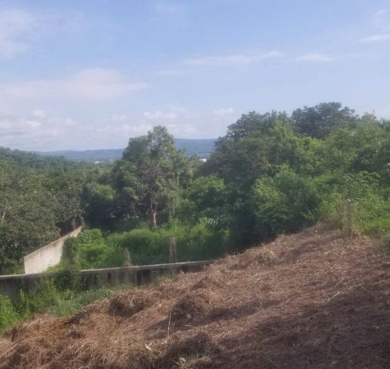 PARCELA VISTA ATICAMA – photo 3
