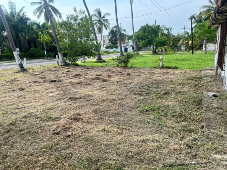 LOS COCOS VILLA – photo 7
