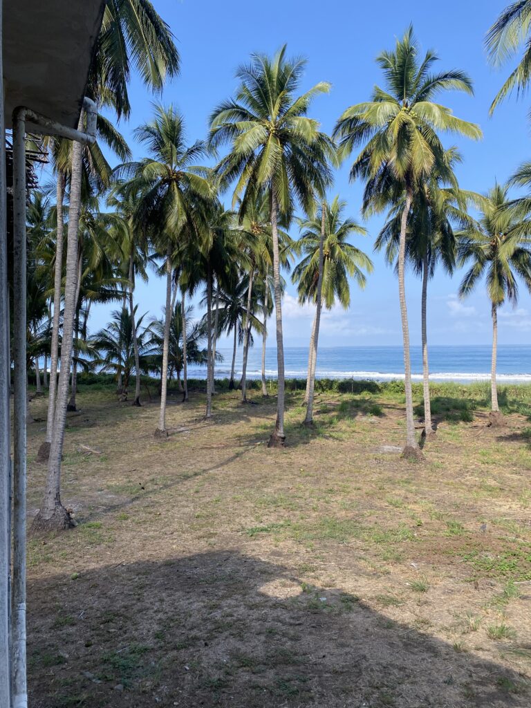 Exceptional Beachfront Development Opportunity, Playa El Limoncito, Matanchen Bay, Nayarit – photo 3
