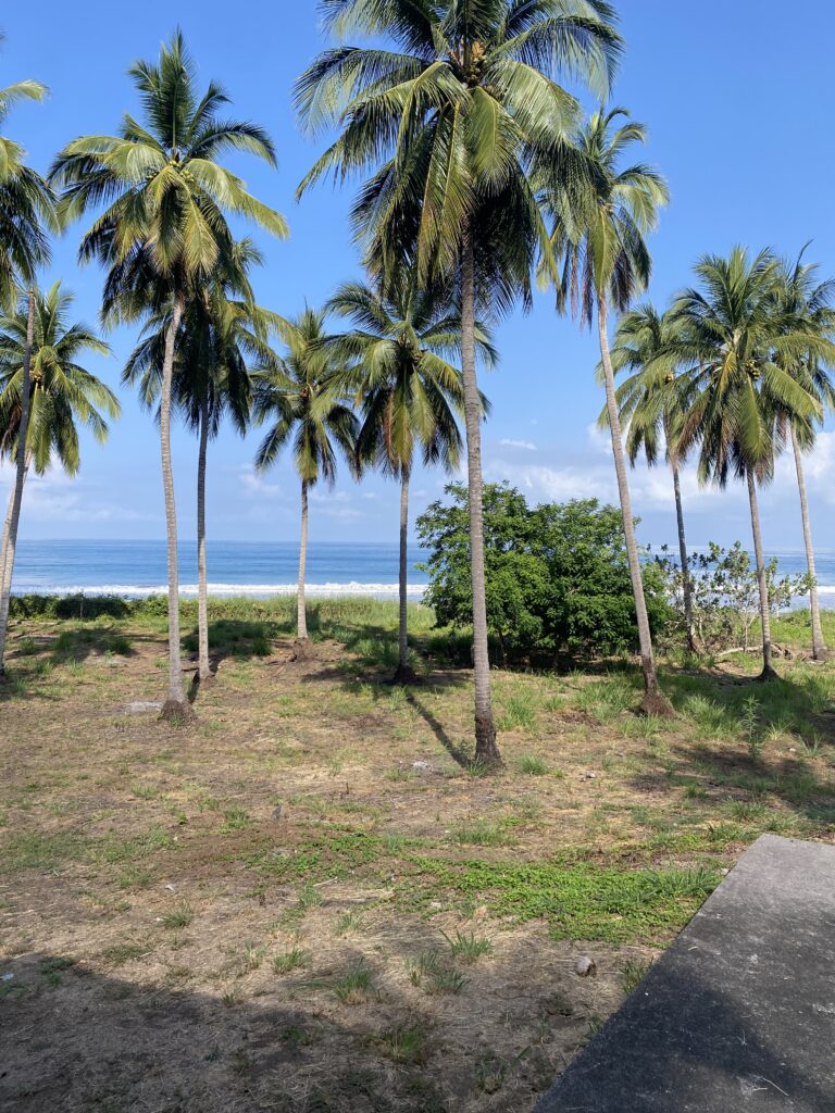 Exceptional Beachfront Development Opportunity, Playa El Limoncito, Matanchen Bay, Nayarit – photo 2