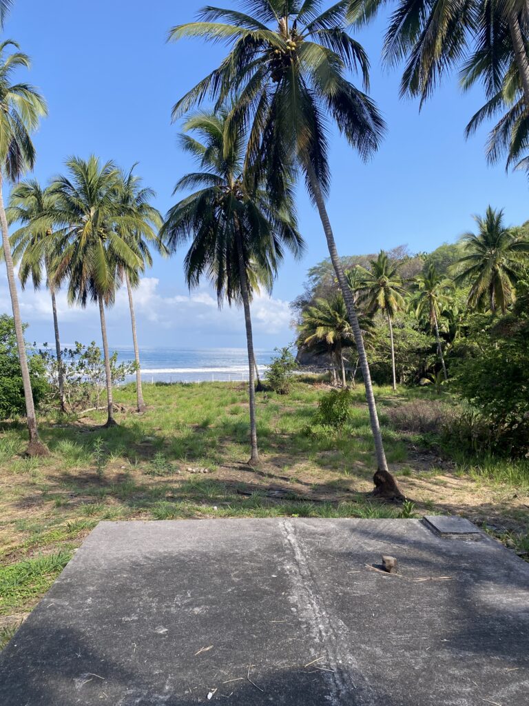 Exceptional Beachfront Development Opportunity, Playa El Limoncito, Matanchen Bay, Nayarit – photo 4