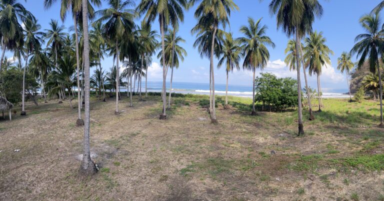 Exceptional Beachfront Development Opportunity, Playa El Limoncito, Matanchen Bay, Nayarit – photo 10