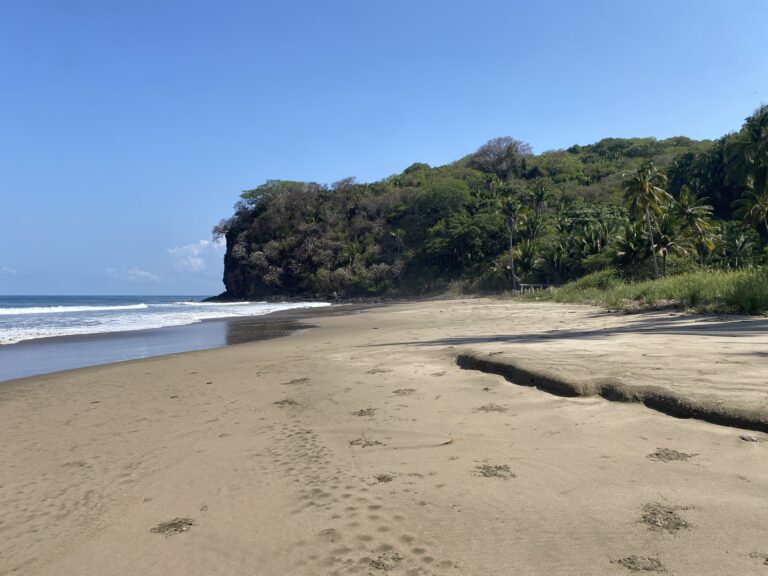 Exceptional Beachfront Development Opportunity, Playa El Limoncito, Matanchen Bay, Nayarit – photo 8