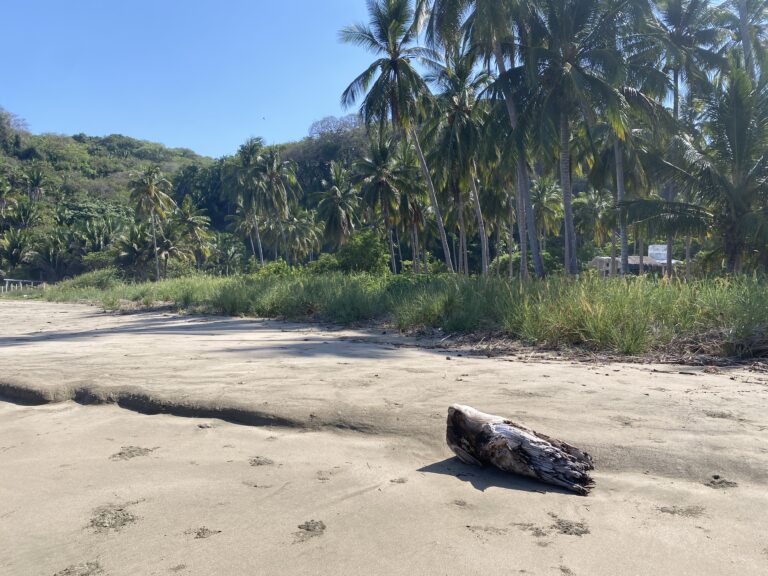 Exceptional Beachfront Development Opportunity, Playa El Limoncito, Matanchen Bay, Nayarit – photo 7