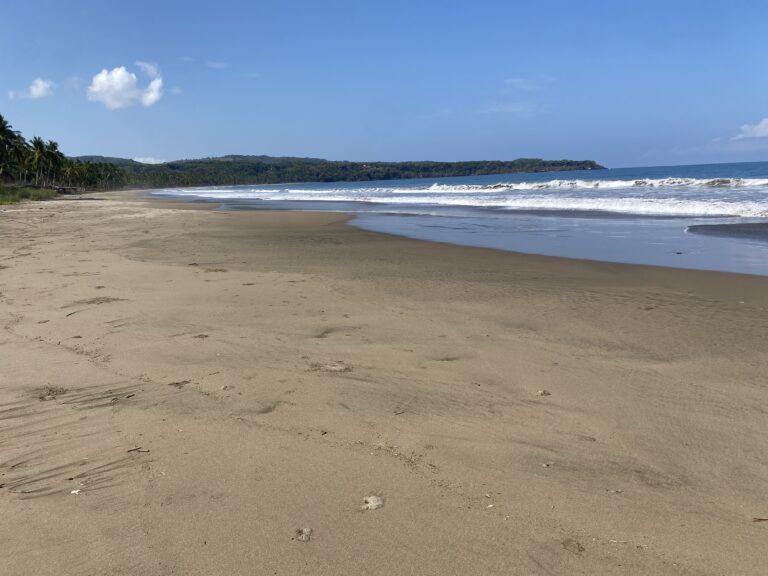 Exceptional Beachfront Development Opportunity, Playa El Limoncito, Matanchen Bay, Nayarit – photo 6