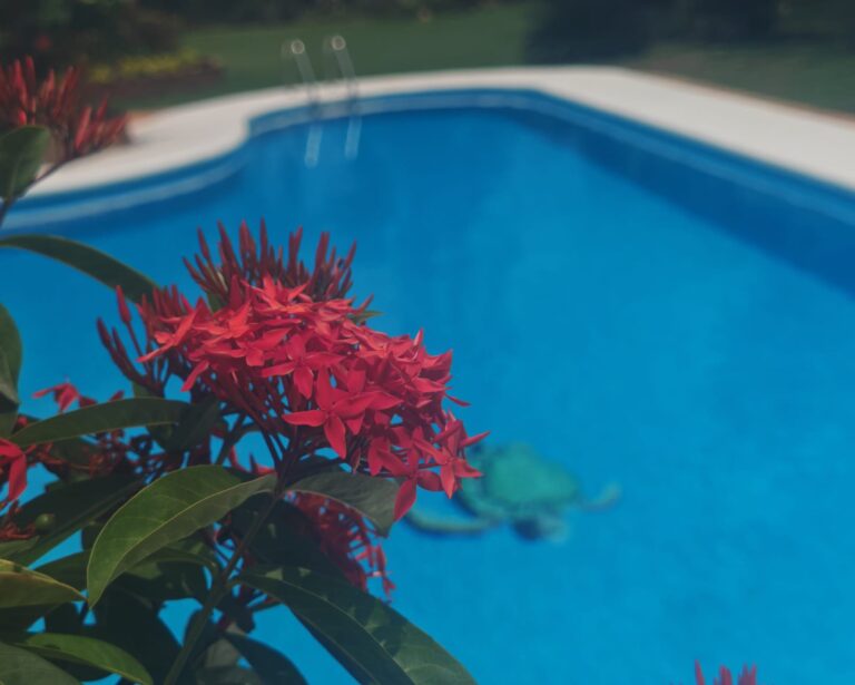 CONDO PARAÍSO DEL MAR – photo 16