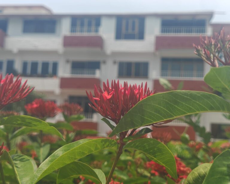 CONDO PARAÍSO DEL MAR – photo 17