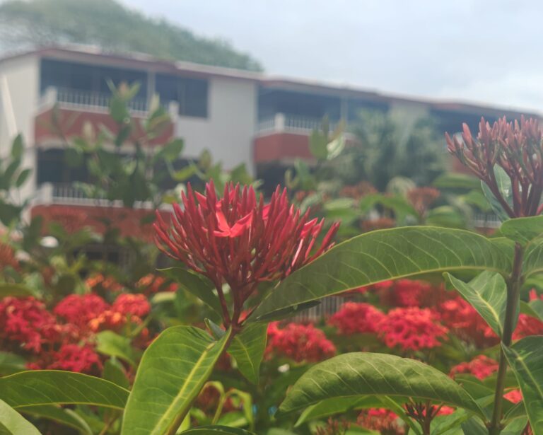 CONDO PARAÍSO DEL MAR – photo 18