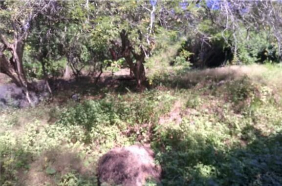 LOTE ATICAMA – photo 2