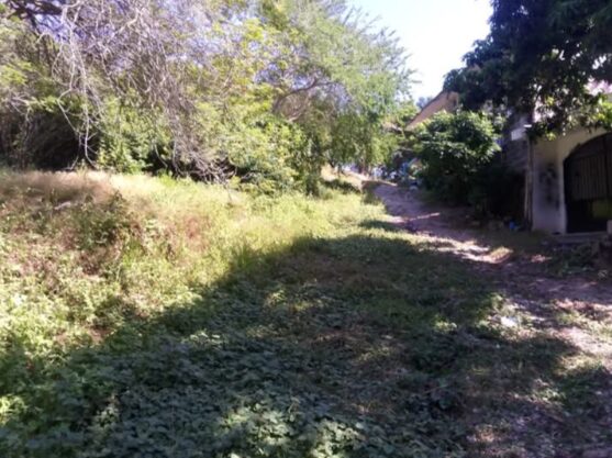 LOTE ATICAMA – photo 3