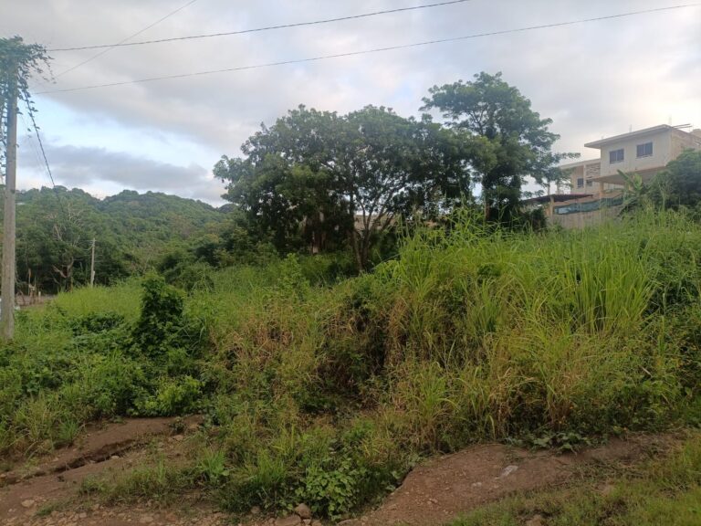 LOTE TEPIQUEÑO – photo 3