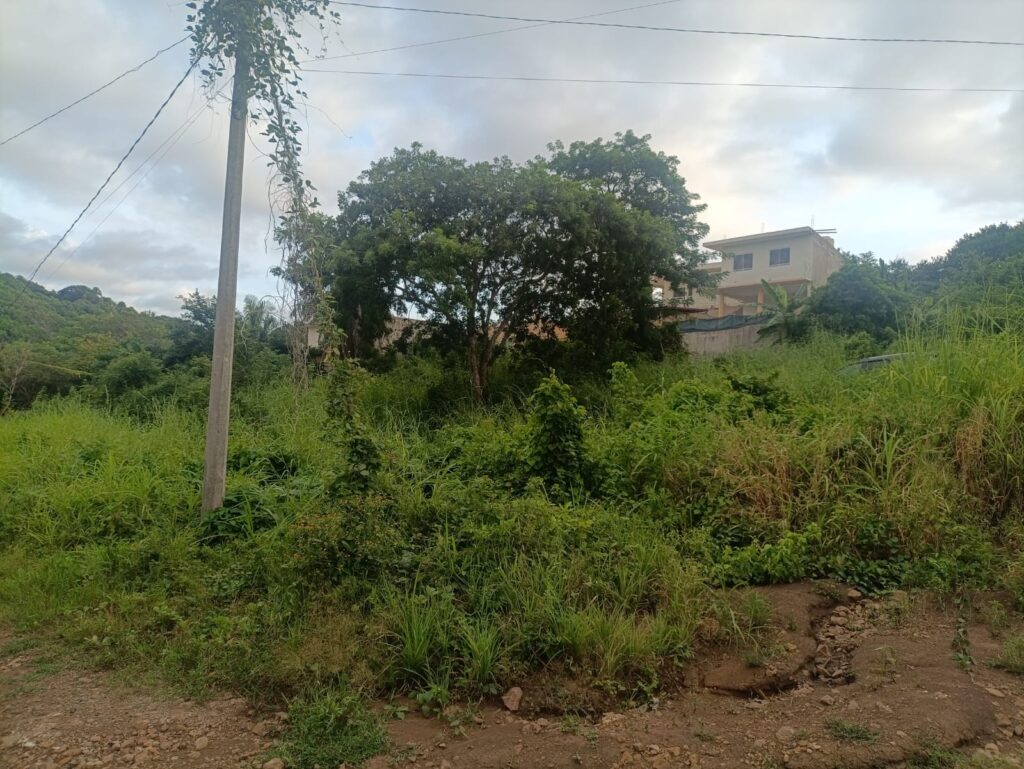 LOTE TEPIQUEÑO – photo 1