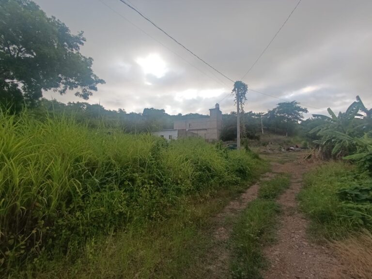 LOTE TEPIQUEÑO – photo 4