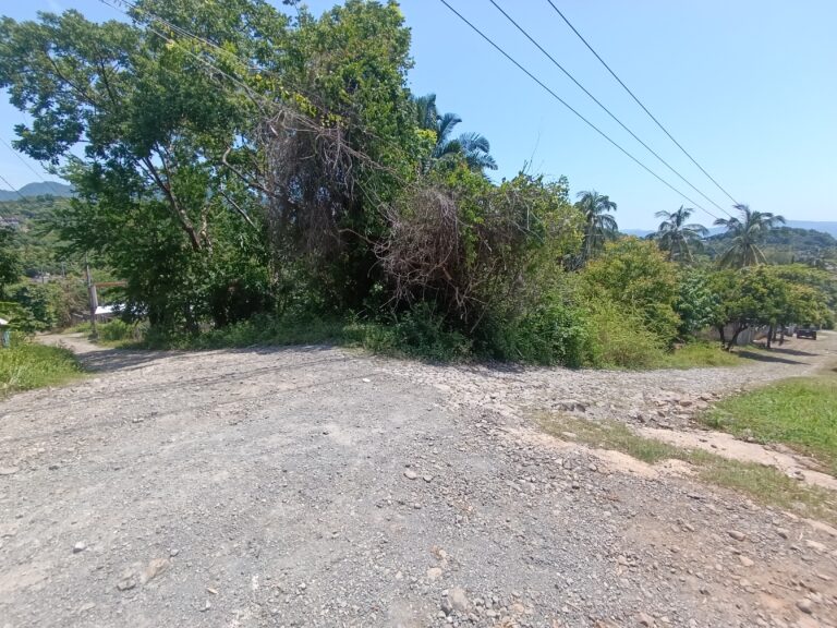 LOTE SALOME – photo 3