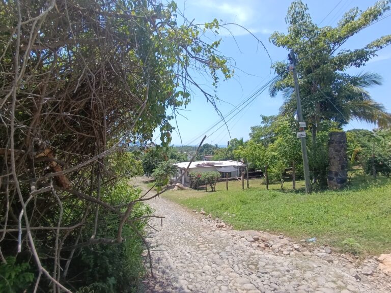 LOTE SALOME – photo 4