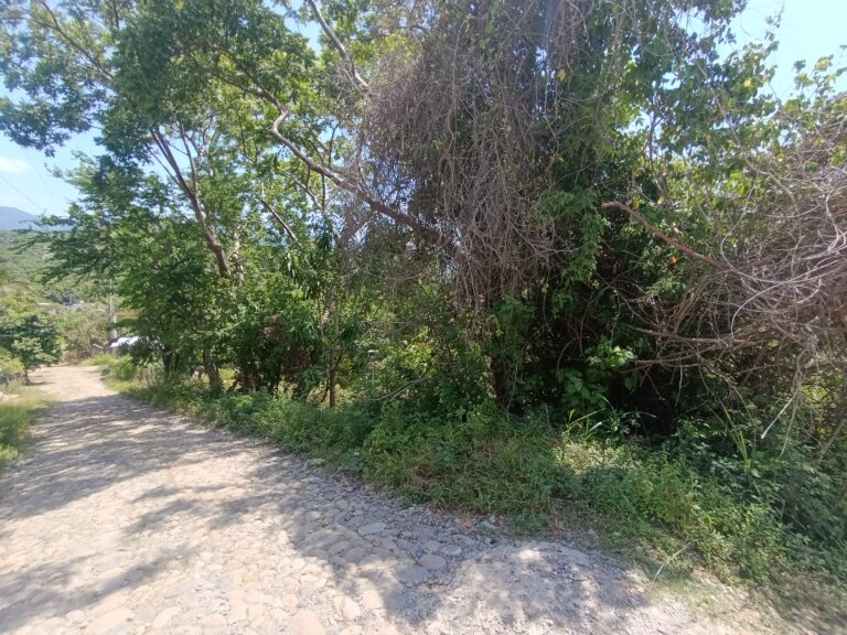 LOTE SALOME – photo 5