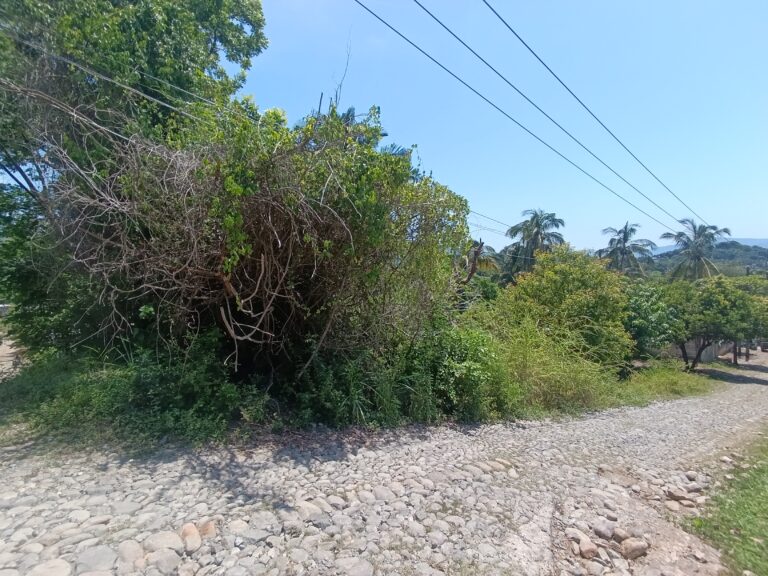 LOTE SALOME – photo 6