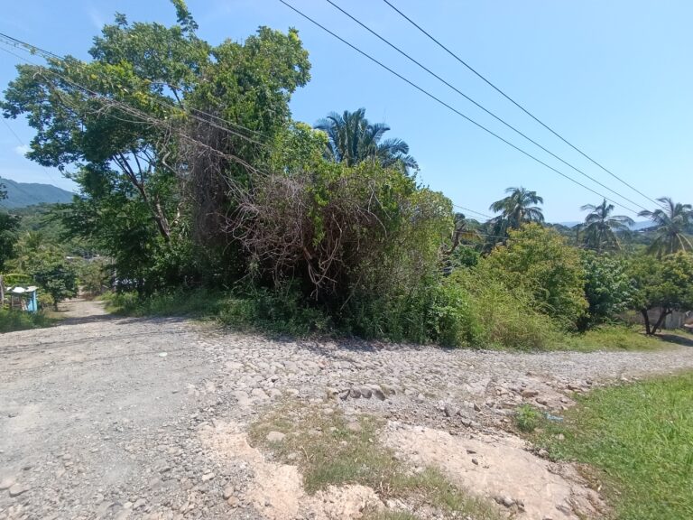 LOTE SALOME – photo 7