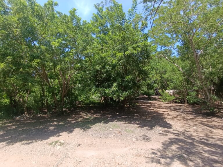 LOTE LA HERMANA II – photo 2