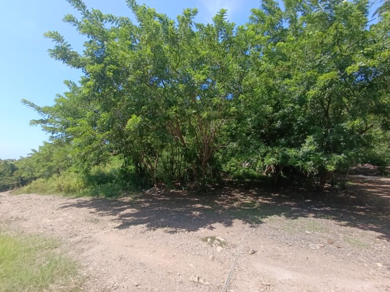 LOTE LA HERMANA II – photo 3