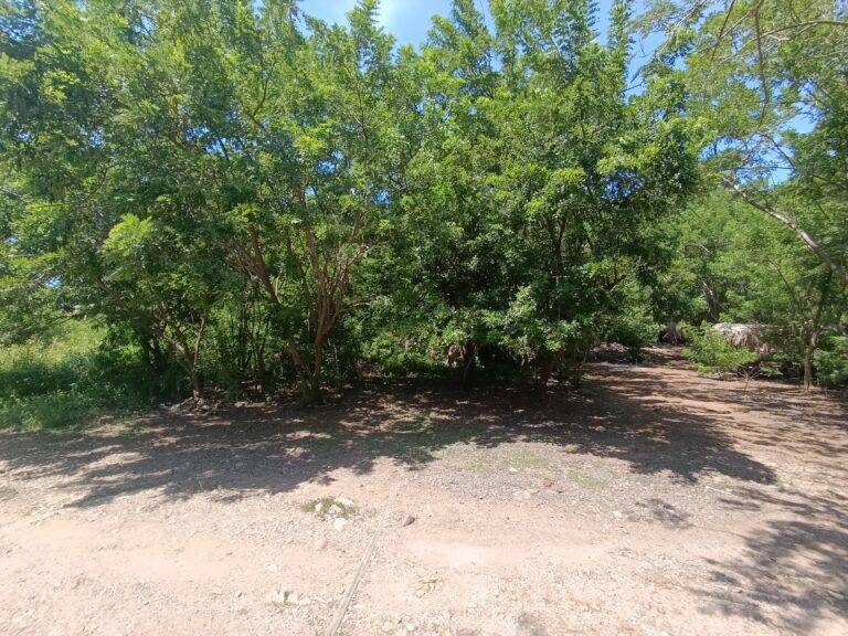 LOTE LA HERMANA II – photo 4