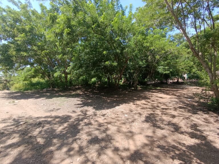LOTE LA HERMANA II – photo 5