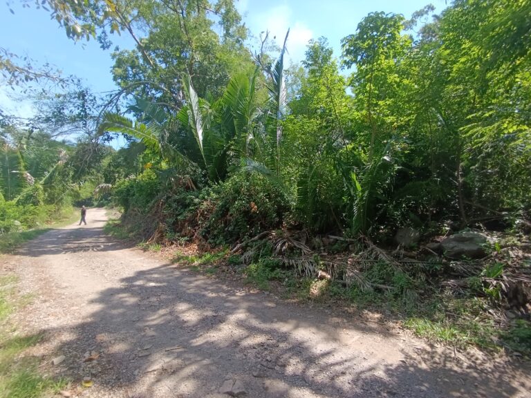 LOTE LA HERMANA – photo 11