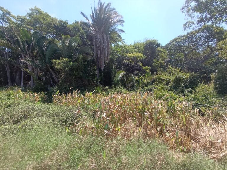 LOTE LA HERMANA – photo 2