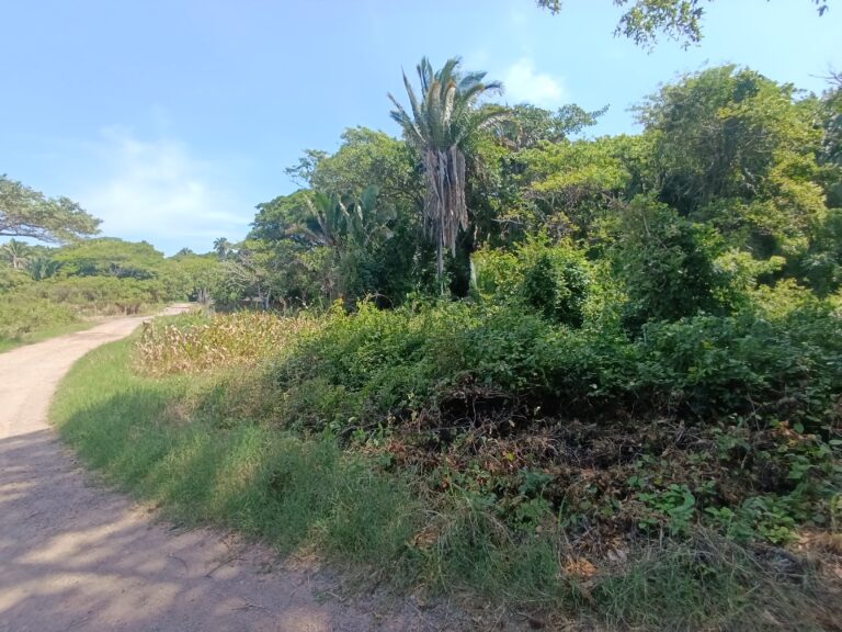 LOTE LA HERMANA – photo 5