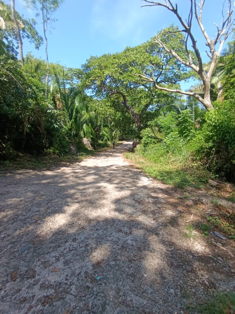 LOTE LA HERMANA – photo 6