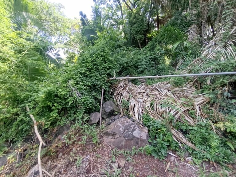 LOTE LA HERMANA – photo 7