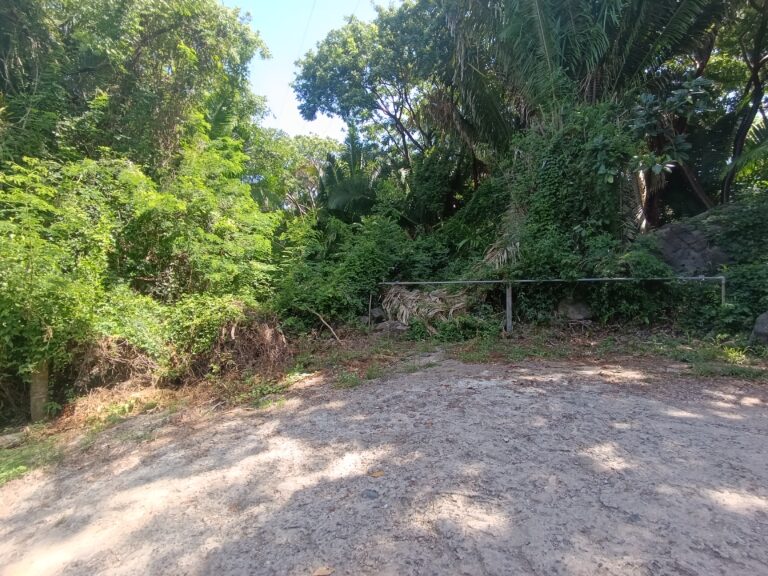 LOTE LA HERMANA – photo 8