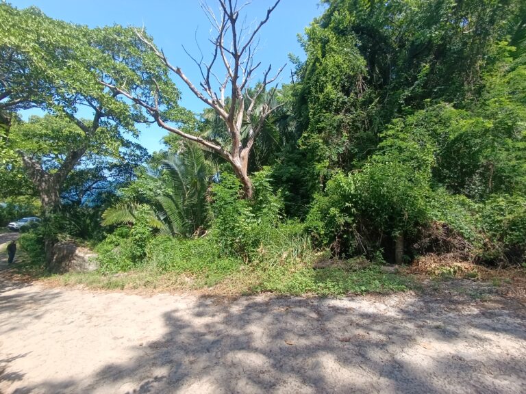 LOTE LA HERMANA – photo 9