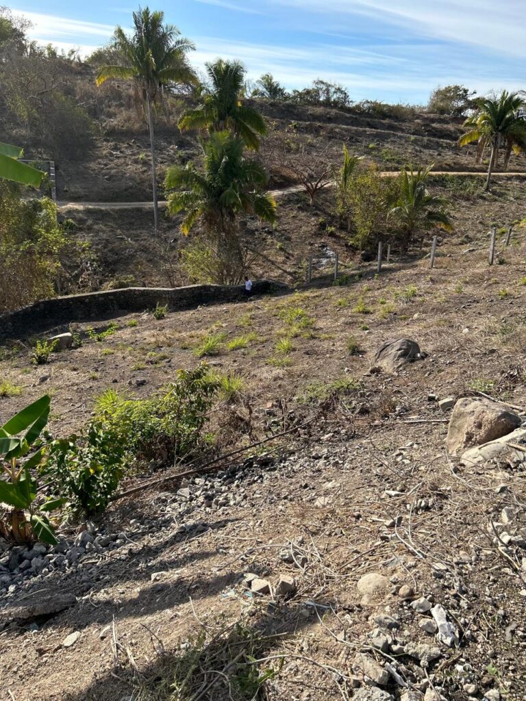 TERRENO VISTA BAHIA – photo 7